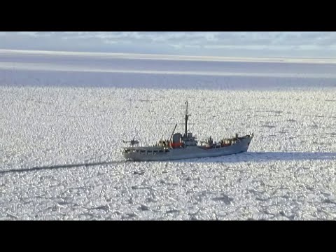 La Antártica Un Continente Sin Fronteras