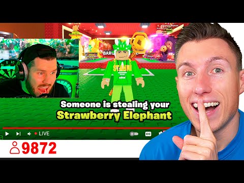 Ich KLAUE STANNIS 11.5B STRAWBERRY ELEPHANT im LIVESTREAM! 😂 (keiner wusste es)