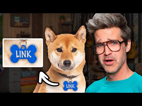 Is Link A Dog Or A Human Name?