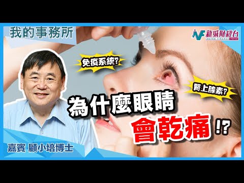 【我的事務所】眼睛乾澀？疼痛？原來是身體缺少了這樣物質！哪些健康食品有助改善？｜顧小培 劉婉芬