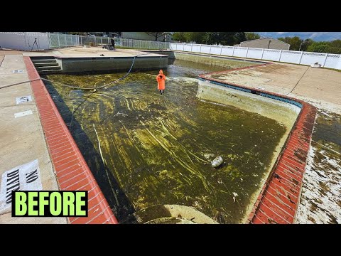 Pool Nightmare Transformation… Then I Jumped In!