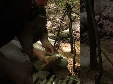 Bushcraft skills #bushcraft #survival #camping #outdoors #lifehacks #forest #shorts Part 2