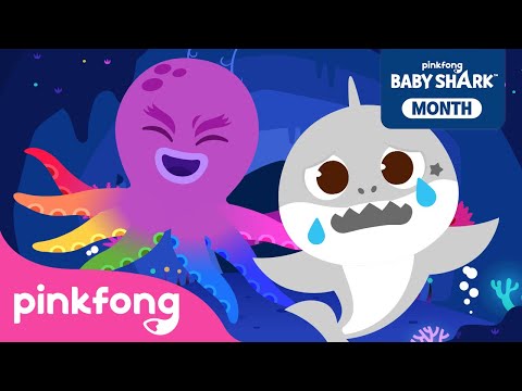 Where did My Color Go? | Color Songs | Compilation | Best Color & Bus Songs | Pinkfong Baby Shark