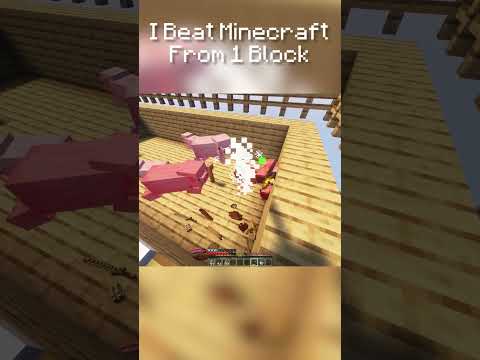 Part 25. I Beat Minecraft From 1 Block