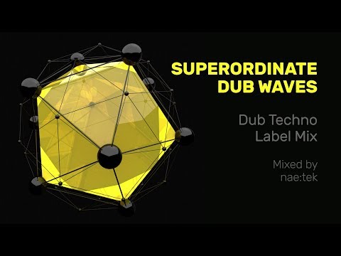 Superordinate Dub Waves | Dub Techno Label Mixed by nae:tek