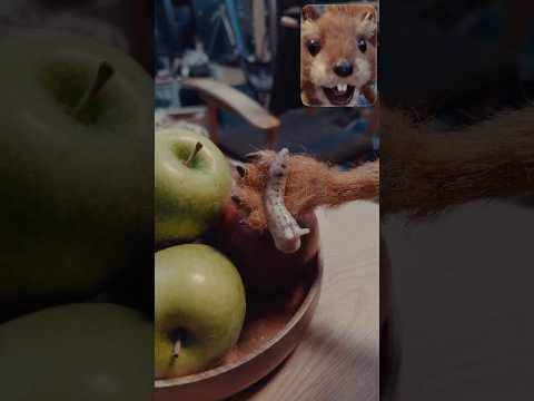 Turns out squirrels love craft services. Shot on iPhone 17 Pro with Dual Capture. #shorts