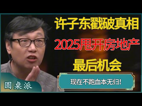 许子东戳破真相，2025甩开房地产最后机会，现在不跑血本无归！？ #窦文涛 #梁文道 #马未都 #周轶君 #马家辉 #许子东 #圆桌派  #圆桌派第八季