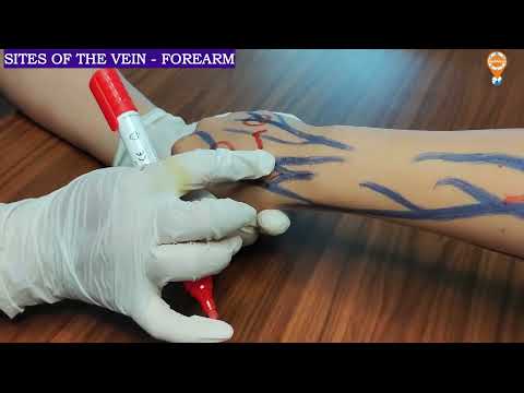 Sites of Cannulation