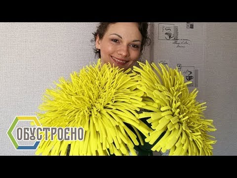 Hey, dandelion, is that you ?! Giant yellow dandelion