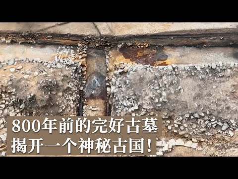 前后考古11年 一枚铜印打开神秘王国大门 保存完好的砖石古墓揭秘800年前古老政权的兴亡！《探索·发现》吉林寻古（下）丨 中华国宝