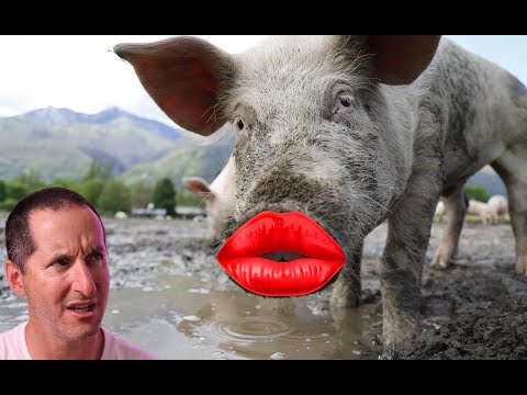 My THREE rules for SQL TUNING