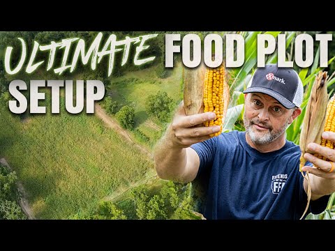 Is This Our Most Effective FOOD PLOT Setup Ever in Georgia!?