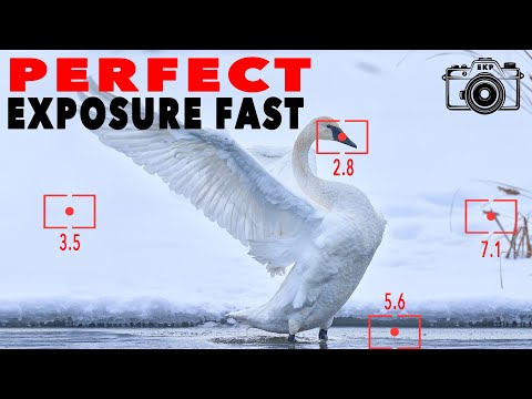 Spot Metering: The Secret to Perfect Composition