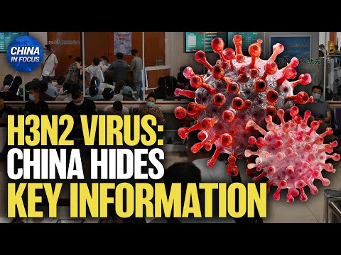 H3N2 Influenza Virus Surges in China, Death Toll Up | China in Focus