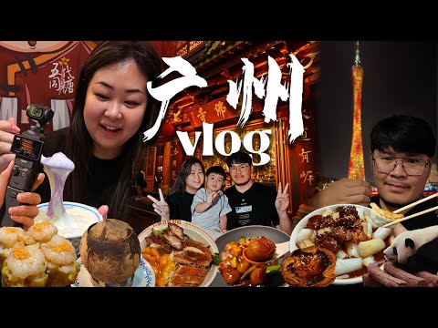 广州Vlog! 第一次去中国🇨🇳广州美食吃喝玩乐！太过瘾了！Guangzhou Travel Vlog