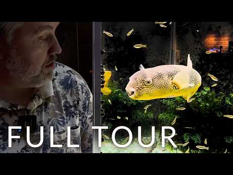 Exclusive Fish Room Tour with Cory from Aquarium Co-Op!