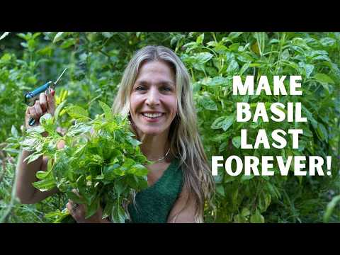 How to Grow Basil so You Have it Forever