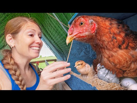 We Found a Surprise on our Farm Tour