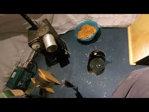 Рипус. Увильды. Поклевало.