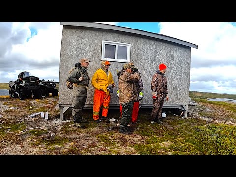 Newfoundland Off Grid Remote Cabin  Moose Hunt  Ep. 122