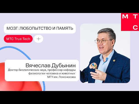 Мозг: любопытство и память l Вячеслав Дубынин l True Tech Day 2.0