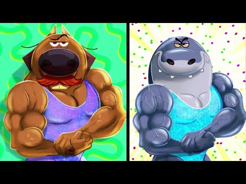 Зиг и Шарко | Новый сезон 3 - Урок спорта | русский мультфильм | дети видео | мультфильмы |