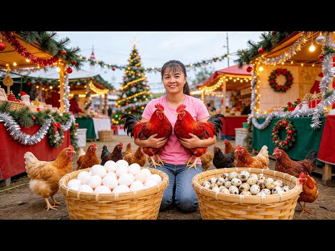 Timelapse - Harvesting Chickens & Hundreds of Eggs for Christmas Market | Farm Life