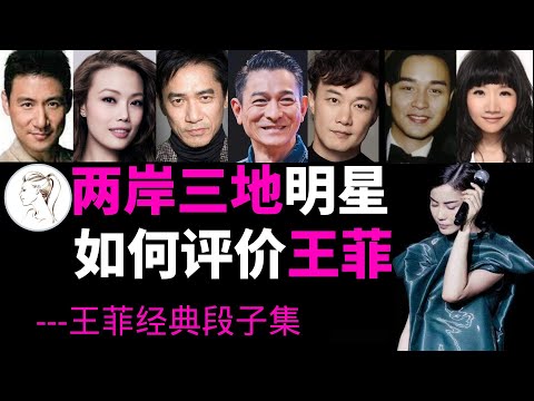 王菲高冷？听听张学友  陈奕迅  梁朝伟  容祖儿如何评论她！【王菲经典段子集】