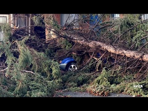 Destructive winds rip through Montana