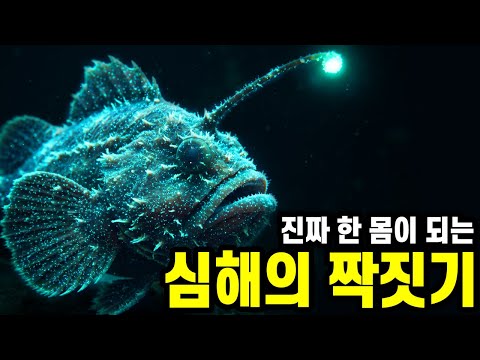 심해 아귀의 기괴한 생물학 : 수컷이 암컷의 '신체 일부'가 되는 과정