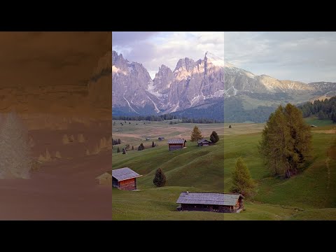 Best Settings for Negative Lab Pro