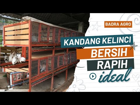 The rabbit cage becomes clean, neat and comfortable