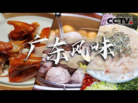 广东美食大赏！走进中山吃乳鸽 走进潮汕吃牛肉火锅 走进顺德吃捞鱼生......广东美食让你一次吃个够【CCTV纪录】