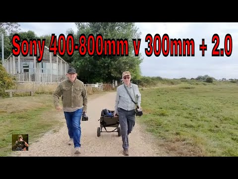 Sony 400-800mm vs 300mm TC: The Shocking Truth