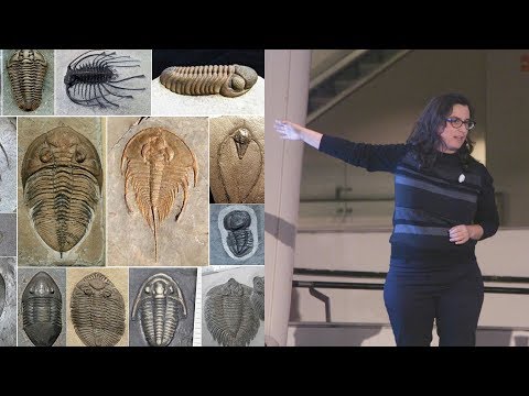 Trilobite Takedown – AMNH SciCafe