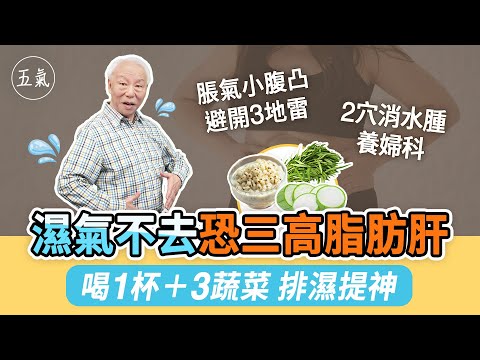 濕氣除，百病無！肚子脹小腹凸？避開3地雷。吃什麼快速排濕氣？3蔬菜＋喝1杯它。按2穴，消水腫保養婦科。記住！濕生痰更嚴重，恐引發三高！調理1臟腑，徹底擊退濕氣｜胡乃文開講Dr.HU_253