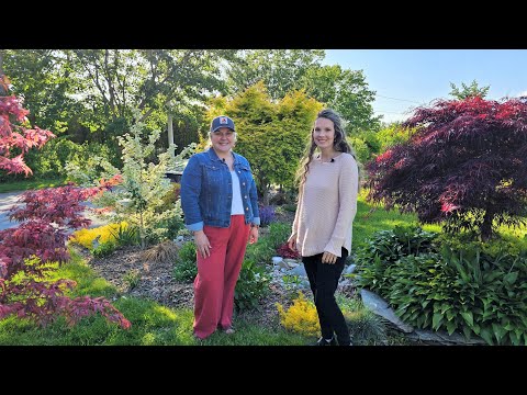 A Lush RI Small Home Garden Tour! Japanese Maple Collection, Clematis, Roses & High Density Orchard