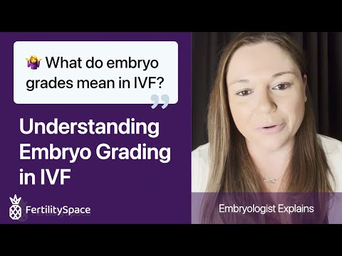 Embryo Grading in IVF Explained | What do embryo grades mean? | FertilitySpace