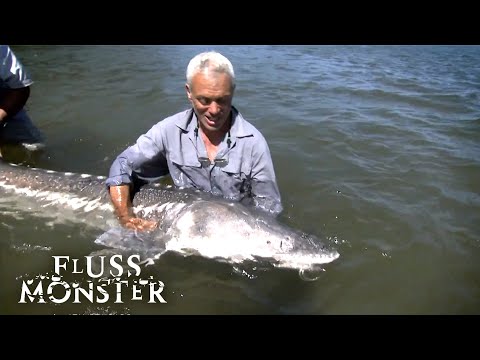 Der Weiße Stör: Verschwundene Menschen in den Tiefen Alaskas | S2 E03 | Fluss Monster