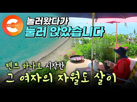 "대통령도 회장님도 안 부러워요" 텐트 하나로 시작한 섬 살이, 친구까지 따라와서 이웃이 되었다🏝 드라마보다 더 드라마 같은 자월도 라이프ㅣ#한국기행