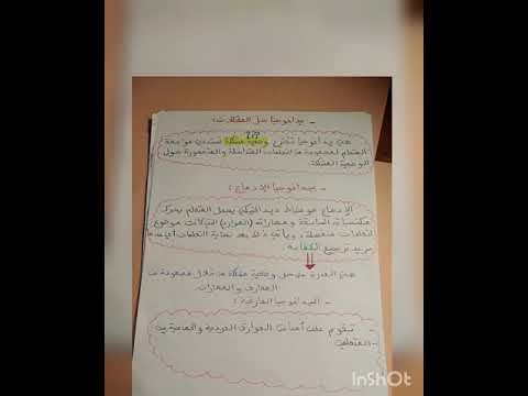 مفهوم البيداغوجيا وأنواعها، شرح مبسط