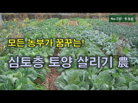 자연재배 유기농 과수 채소 I 심토층 흙 살리기