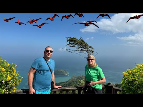 A tour on the Trinidad north coast to warm up our guest for the Carnival & Soca action to come !