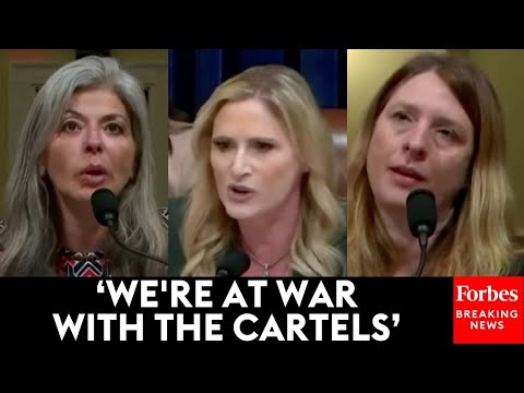 ‘Why Do We Have To Take Other Country’s Trash?’: Witnesses Go Off On Border Crisis To Laurel Lee