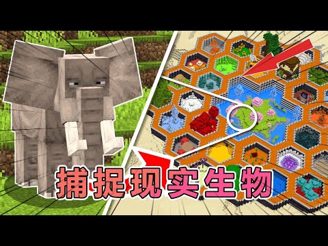 我的世界：肝帝老哥在mc引入各种现实生物 #我的世界 #minecraft