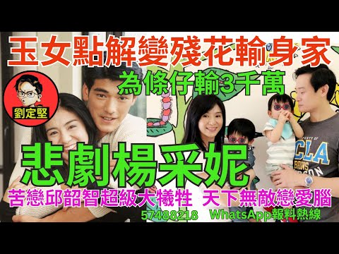 悲劇楊采妮。娛圈趣系列270