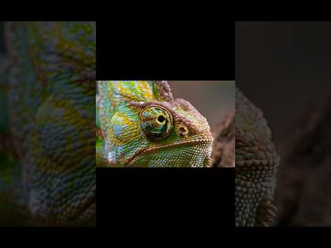 Objective and Subjective are the Same #philosophy #science