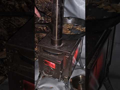 Cooking steak and wild mushrooms in the hot tent