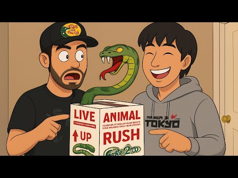 Unboxing two new snakes ( one of them tried to bite me)😧