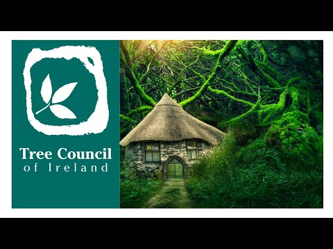 Folklore & Mythology of Trees (Tree Council of Ireland)